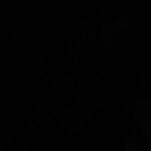 Meet your Posher, Mina